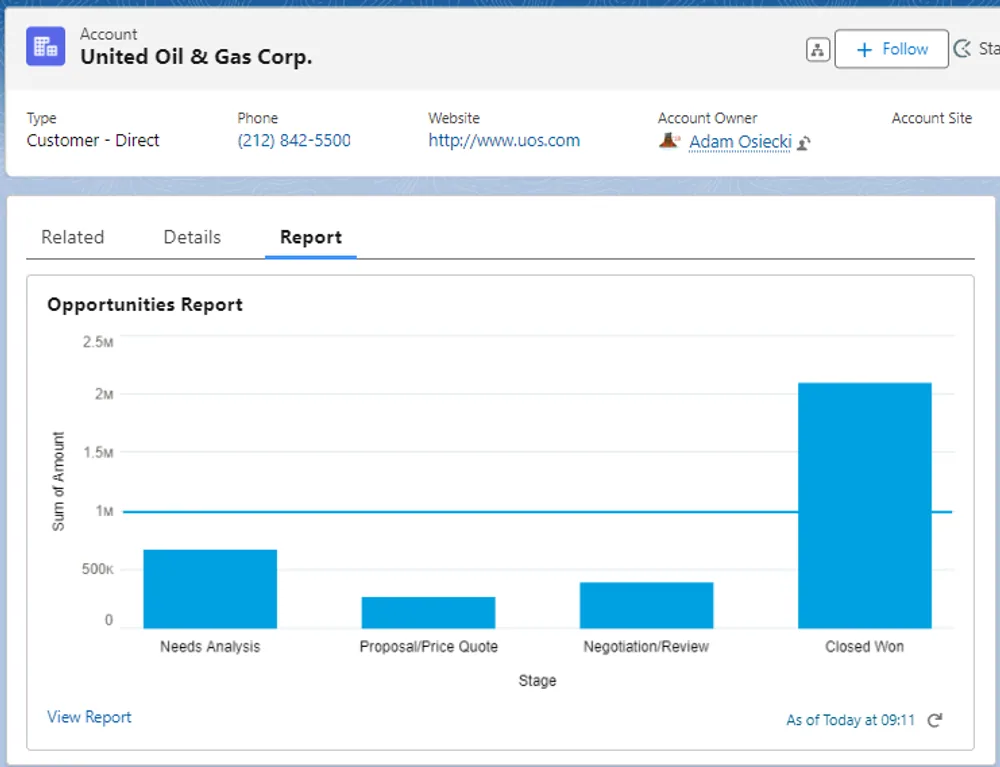 Build Dynamic Report for Record Page — screenshot 1